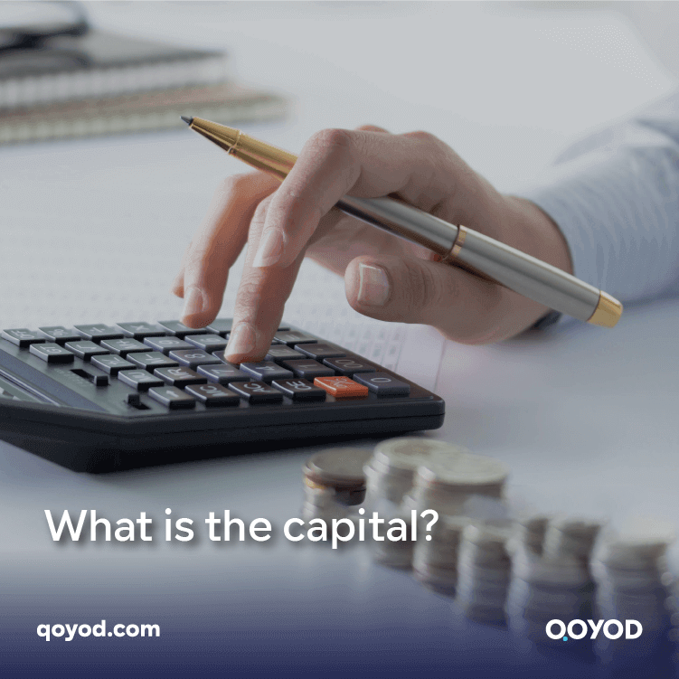 Capital, what it is, its components and characteristics, and how it can preserve institutions from the risk of extinction.