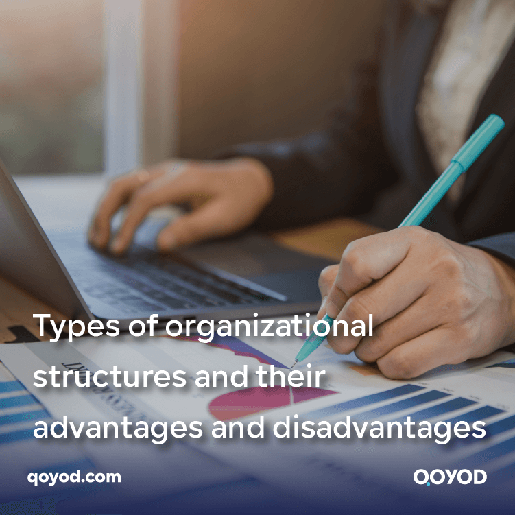 Types of organizational structures in different institutions.