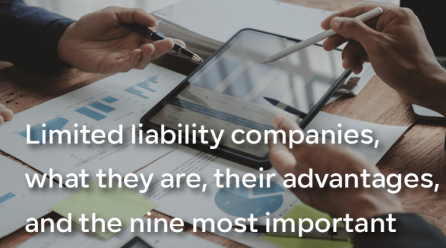 What are limited liability companies (L.L.C.)?